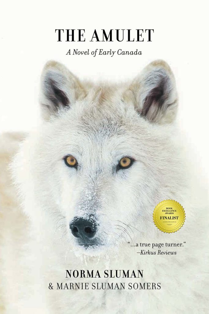 book cover for The Amulet