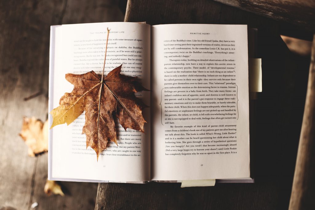 image of open book with a maple leaf as a bookmark