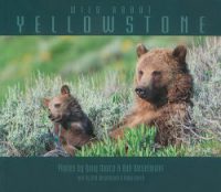 cover image of book "Wild About Yellowstone" by Doug Dance