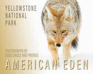cover image of book "American Eden" by Doug Dance