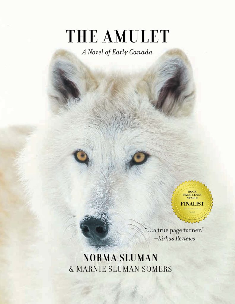 The Amulet book cover