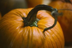orange pumpkin with a curly stem, Thanksgiving