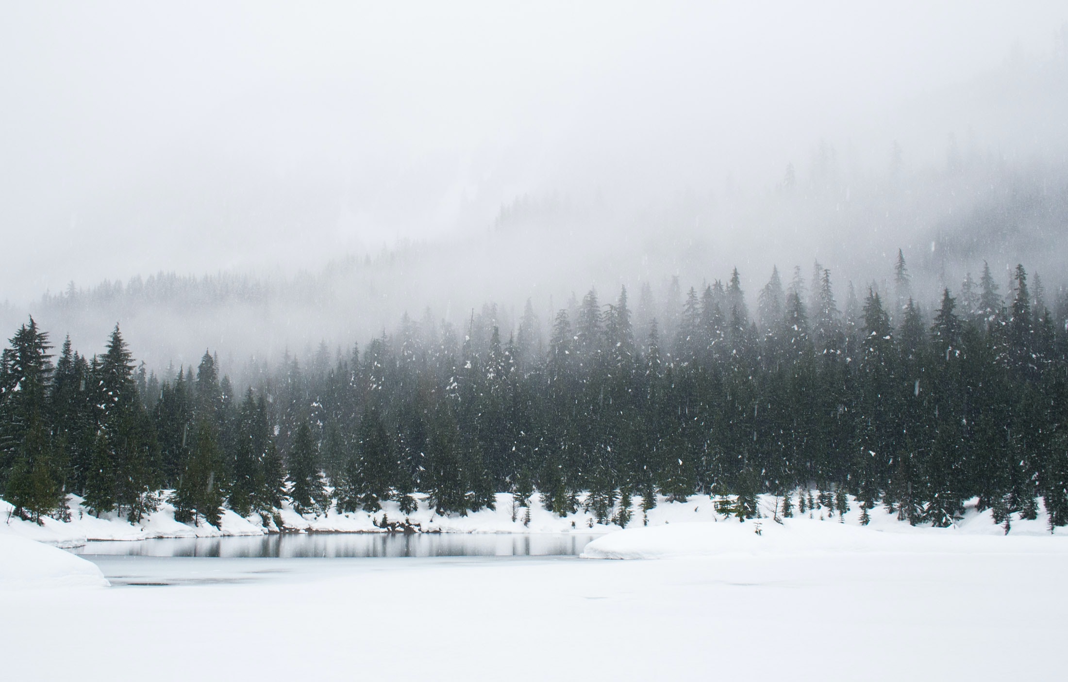 scene of a frozen lake surrounded by snow and pine trees